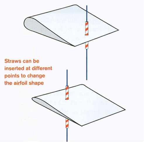 wingshapes
